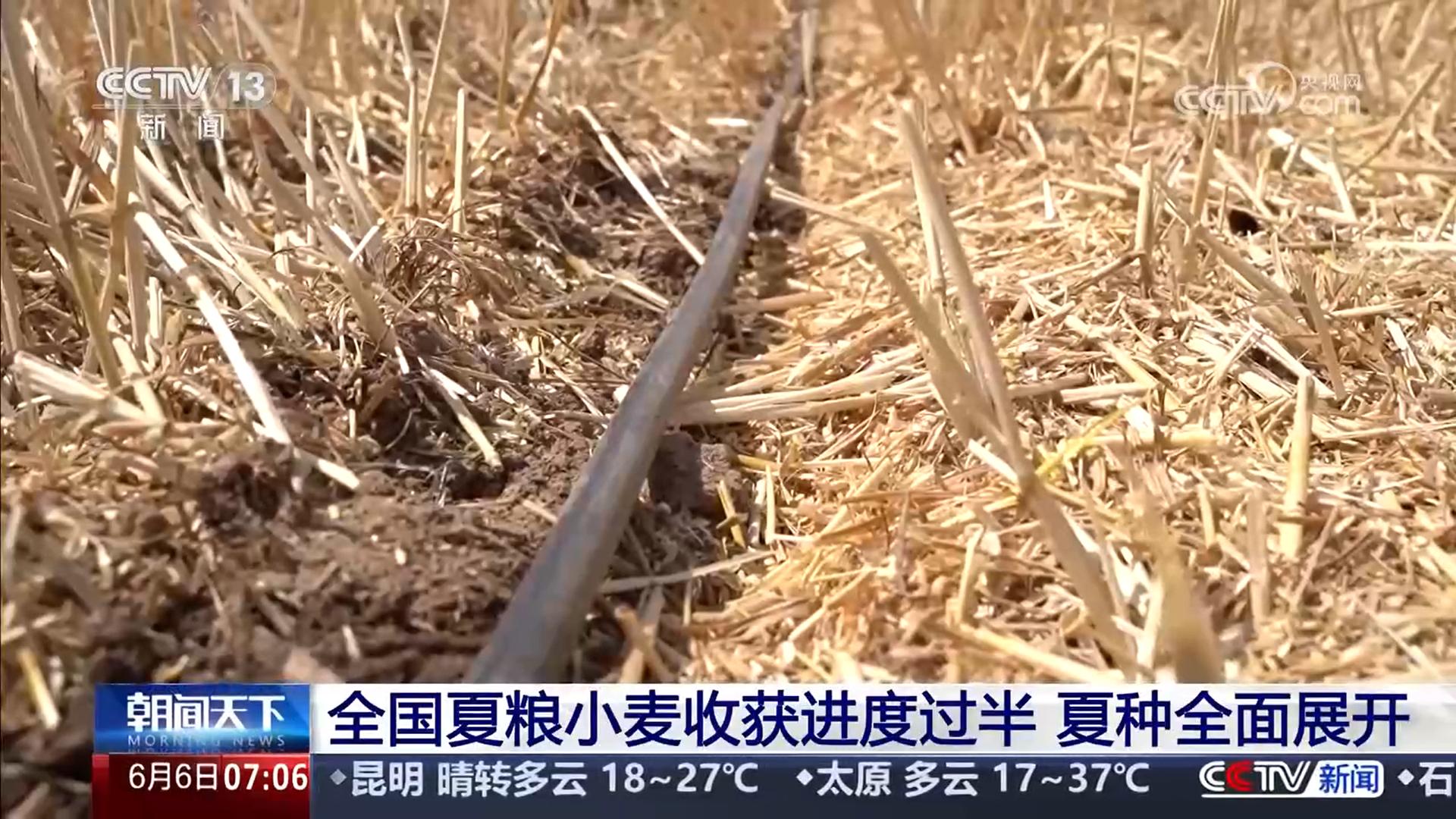 夏粮小麦机收进度_高标准农田建设效率提升_diode