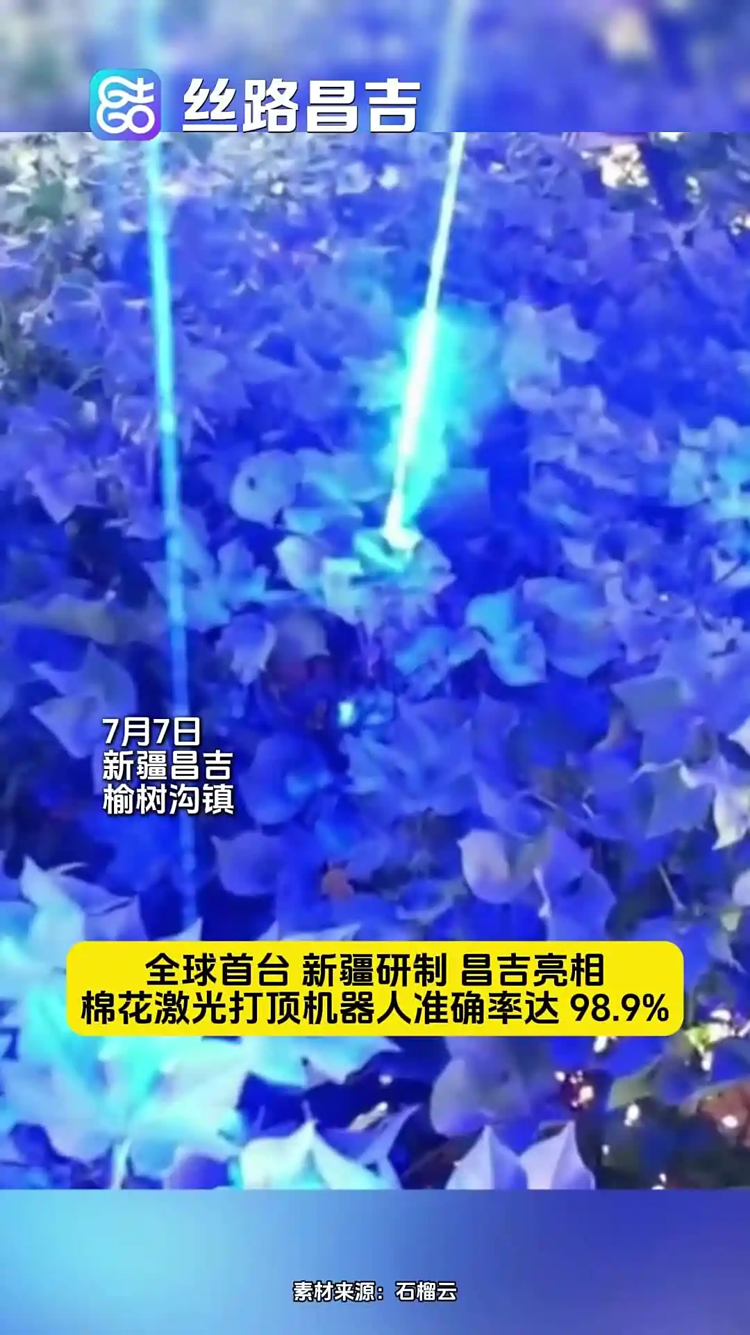 新疆棉花激光打顶技术_laser_全球首款棉花激光打顶机器人