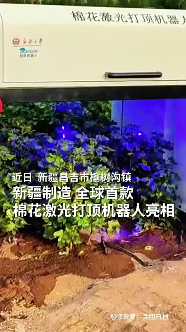 新疆棉花激光打顶技术_laser_全球首款棉花激光打顶机器人