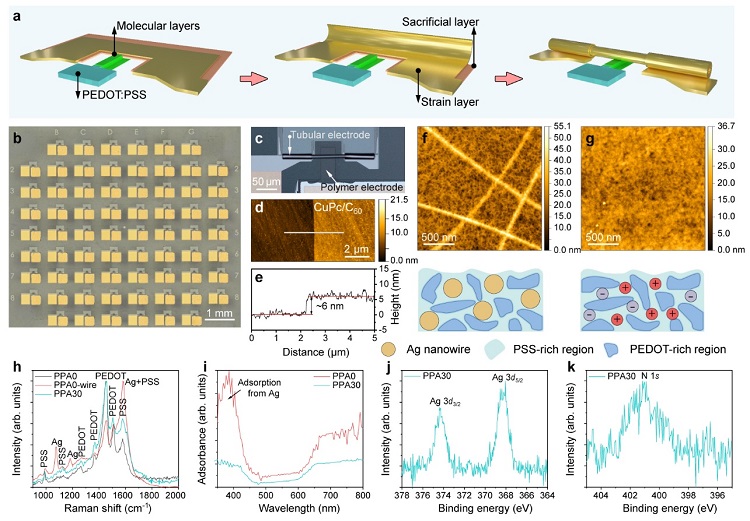 diode_分子器件集成技术_纳米尺度电子学元器件