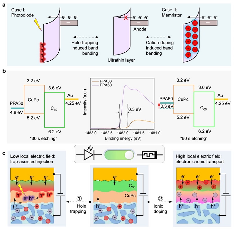 纳米尺度电子学元器件_diode_分子器件集成技术