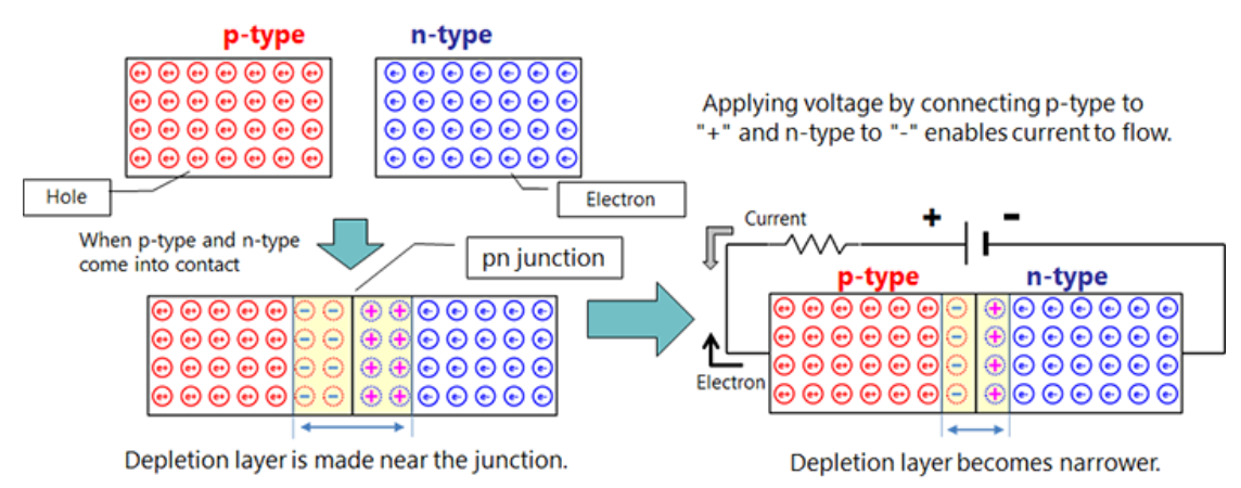 image-20240228182552384
