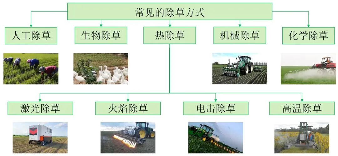激光除草机器人技术原理_智能农业激光除草应用_diode