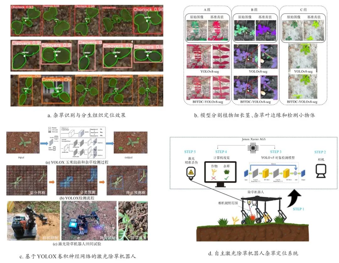 diode_智能农业激光除草应用_激光除草机器人技术原理