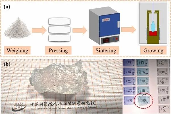 laser是什么意思_laser虚拟男团_laser